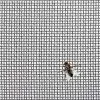 stainless steel window & door mesh 3