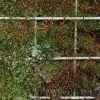 stainless steel environmental mesh green wall mesh 2 stainless steel environmental mesh green wall mesh