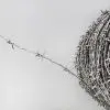 stainless steel rural & coastal fencing Barbed Wire product 3