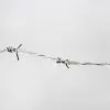 stainless steel rural & coastal fencing Barbed Wire product 4