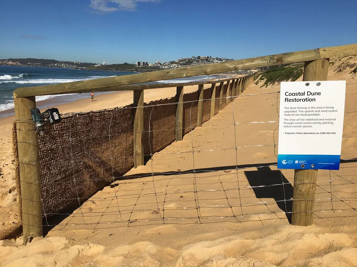 Coastal Dune Restoration