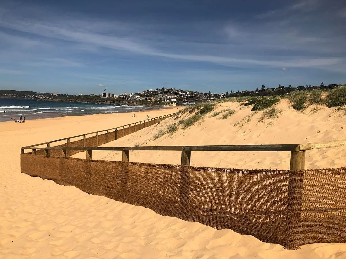 Coastal Dune Restoration