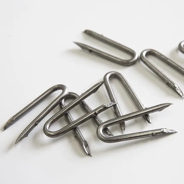 stainless steel Fixture & Fitting 1 Stainless Steel Fixture & Fittings