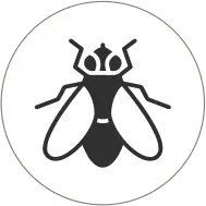 Black Fly round Icon