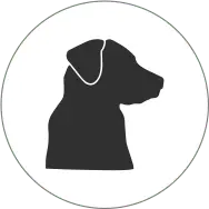 Black Dog Round Icon