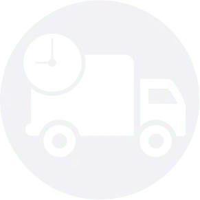 Same Day Despatch Icon