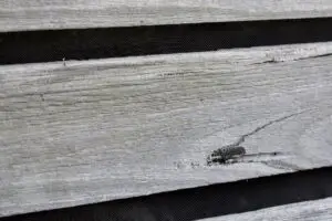 Bushifre Mesh Subfloor close up- TOUGH