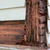 Termite and Rot Damage