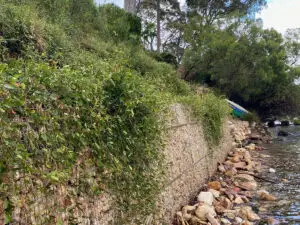 Gabion Mesh Retaining Wall Clareville