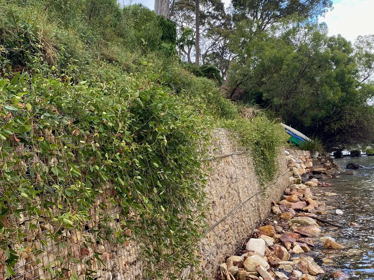Gabion Mesh Retaining Wall Clareville