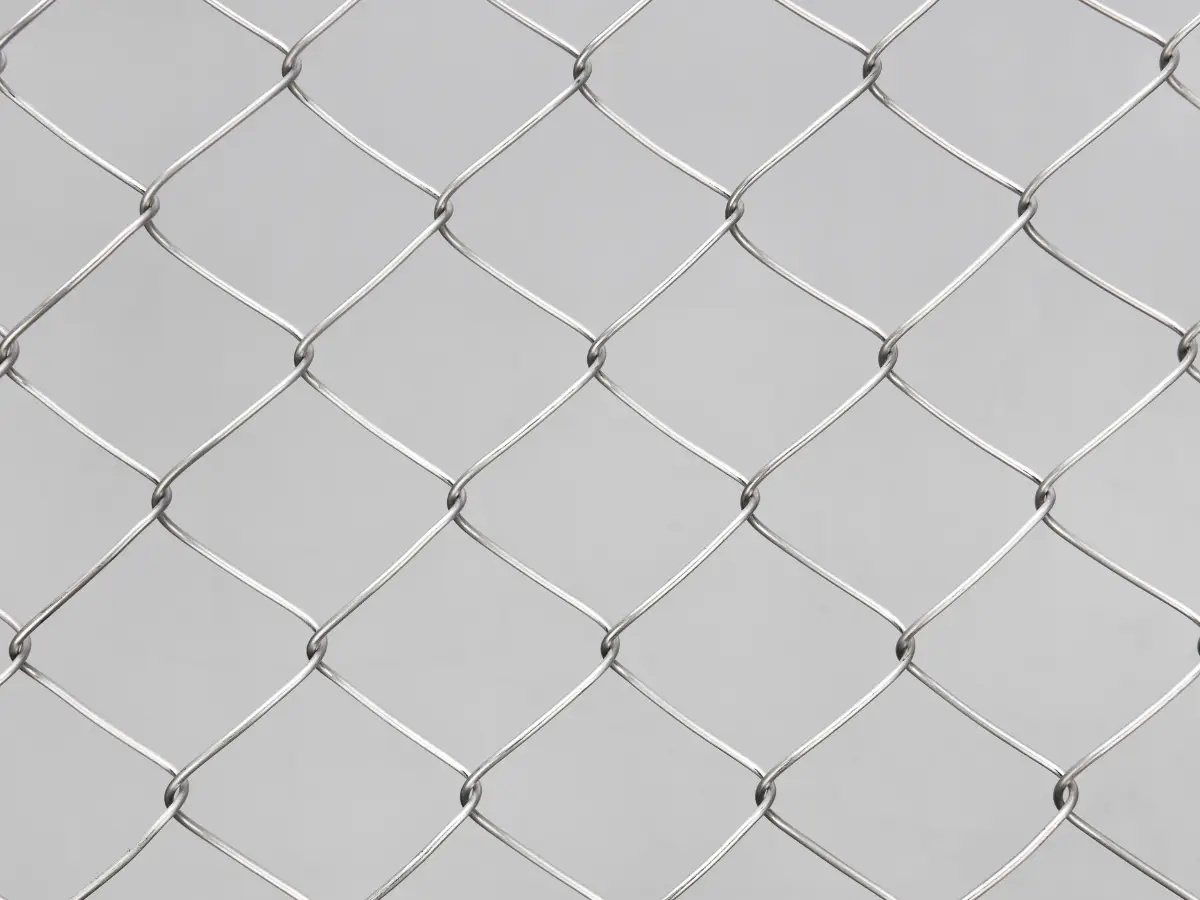 Untitled design (8)