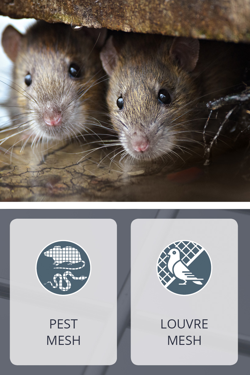 Animal Mesh Solutions for Spring: Pest & Pet Protection